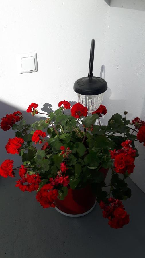 Cavos Seaside House Villa Vathy  Dış mekan fotoğraf