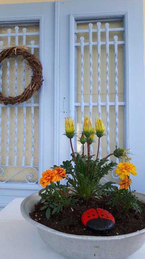 Cavos Seaside House Villa Vathy  Dış mekan fotoğraf