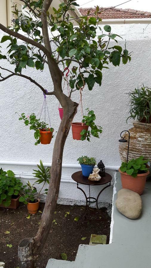Cavos Seaside House Villa Vathy  Dış mekan fotoğraf